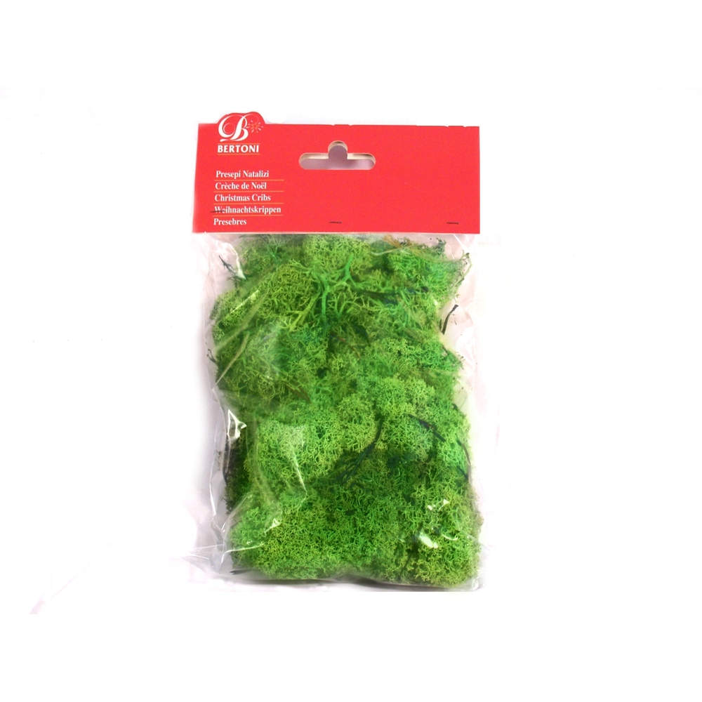 Décoration pour paysage de Noël : Lichen sachet 50 gr
