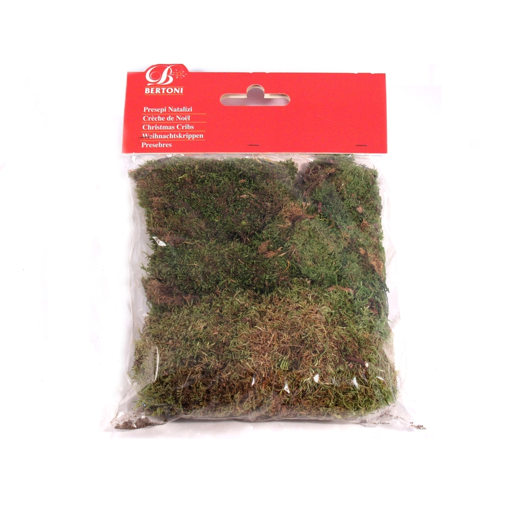 Décoration pour paysage de Noël : Mousse 90 gr en sachet