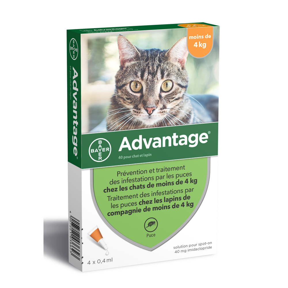 Antiparasitaire pour chat/lapin de moins de 4 kilos : 4 pipettes