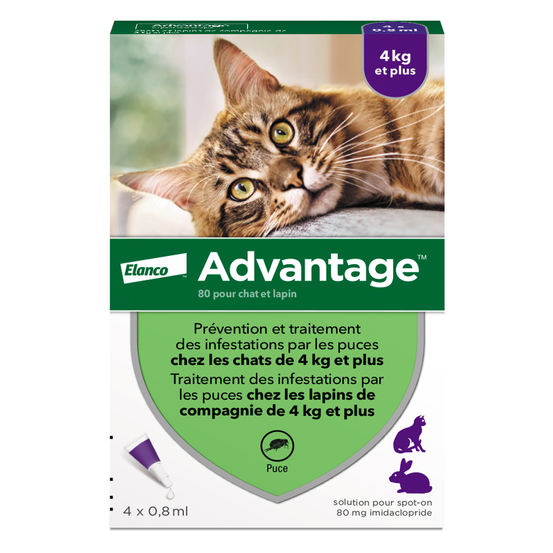 Antiparasitaire pour chat/lapin de plus de 4 kilos : 4 pipettes