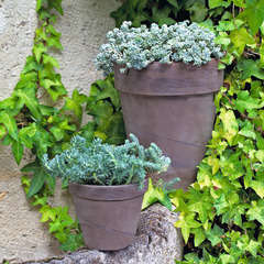 Pot de Fleurs Plantes Rond avec Soucoupe - Terre Cuite - Granit Crème - Ø  21 cm 