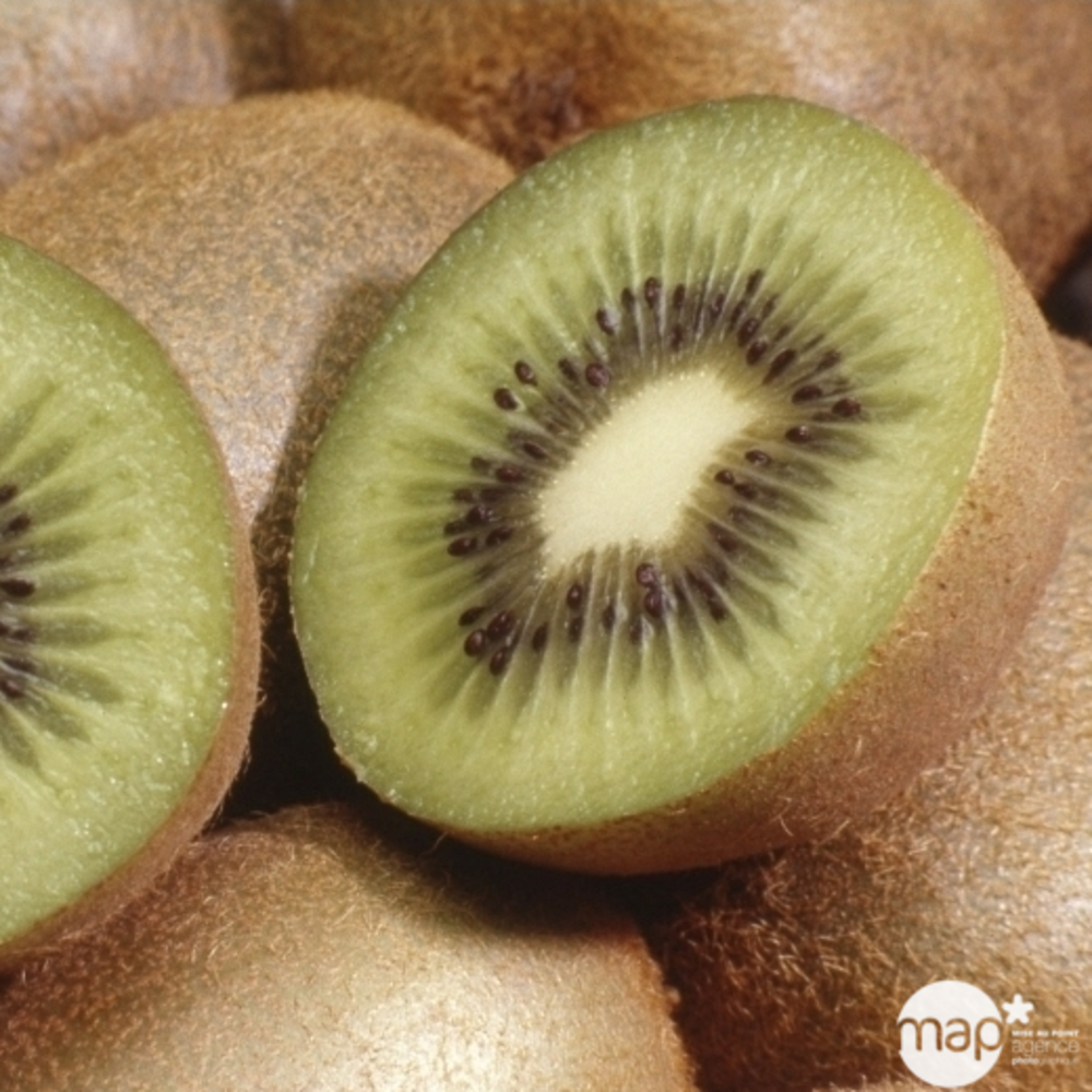 Kiwi chinensis Solissimo® 'Renact' : pot de 3 litres