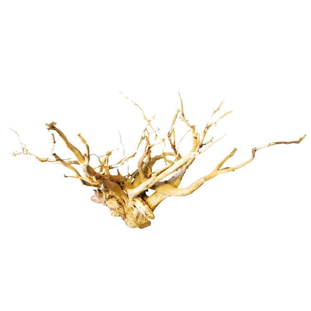 Racine décorative aquarium et terrarium : araignée grand modèle