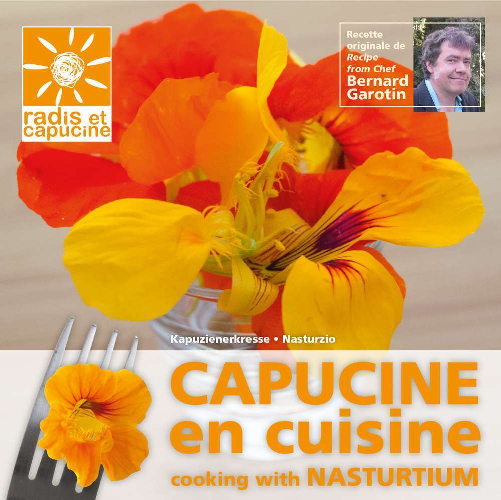 Graines Capucine, fleur comestible