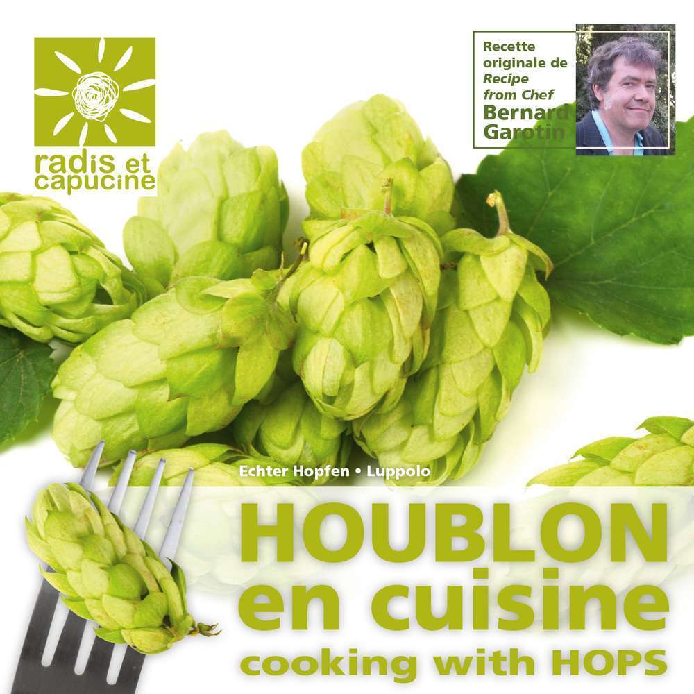 Graines Houblon, fleur comestible