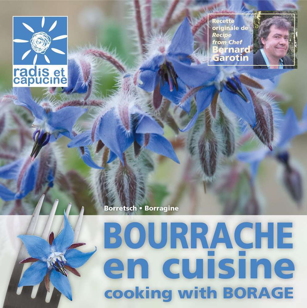 Graines Bourrache, fleur comestible