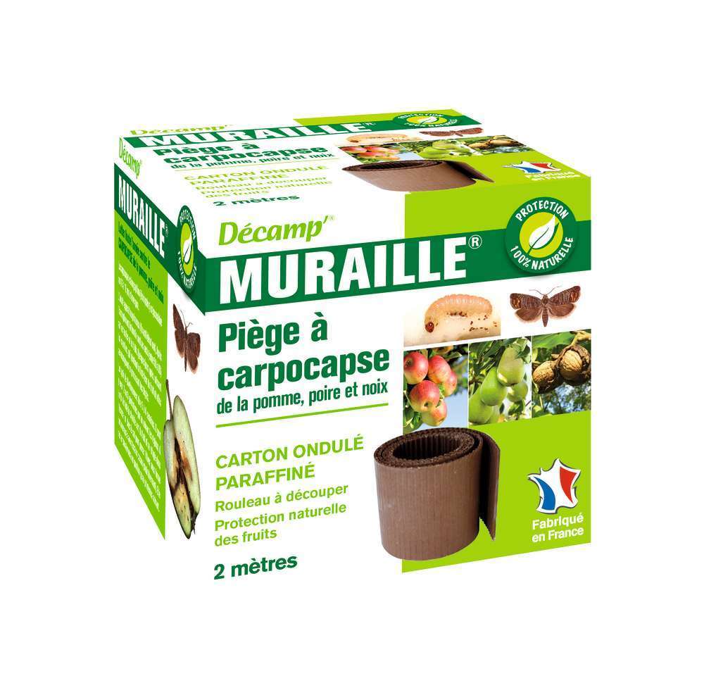 Piège spécial carpocapse