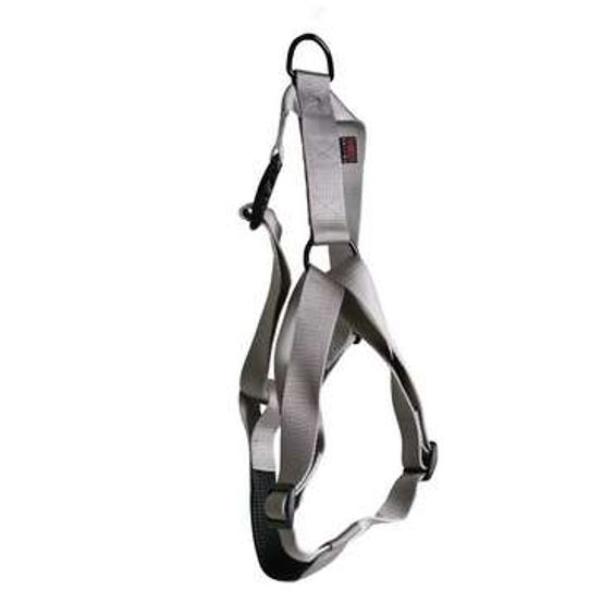 Harnais pour chiens en nylon réglable : Tour de cou 36-60 cm gris