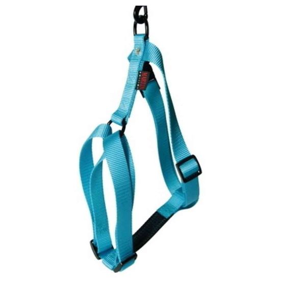 Harnais pour chiens en nylon réglable : Tour de cou 36-60 cm turquoise