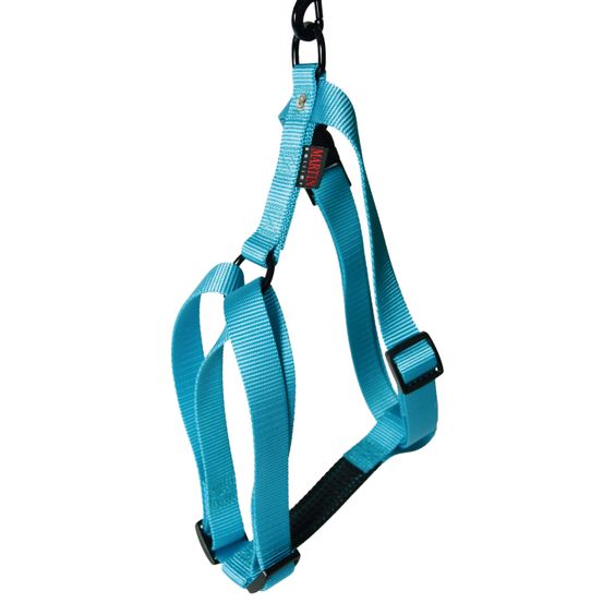 Harnais pour chiens en nylon réglable : Tour de cou 47-78 cm turquoise