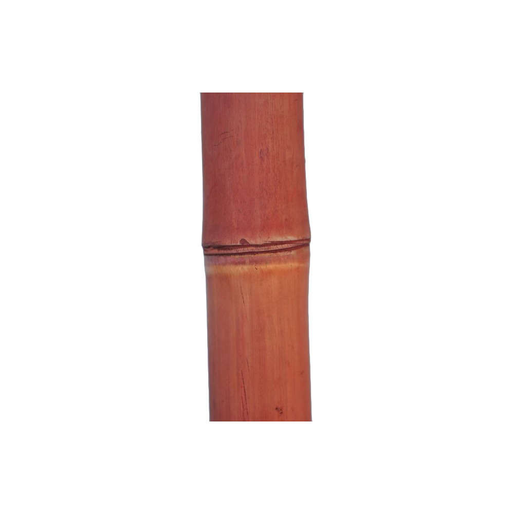 Tronçon de bambou naturel sec lasuré rouge - D.6xL200 cm