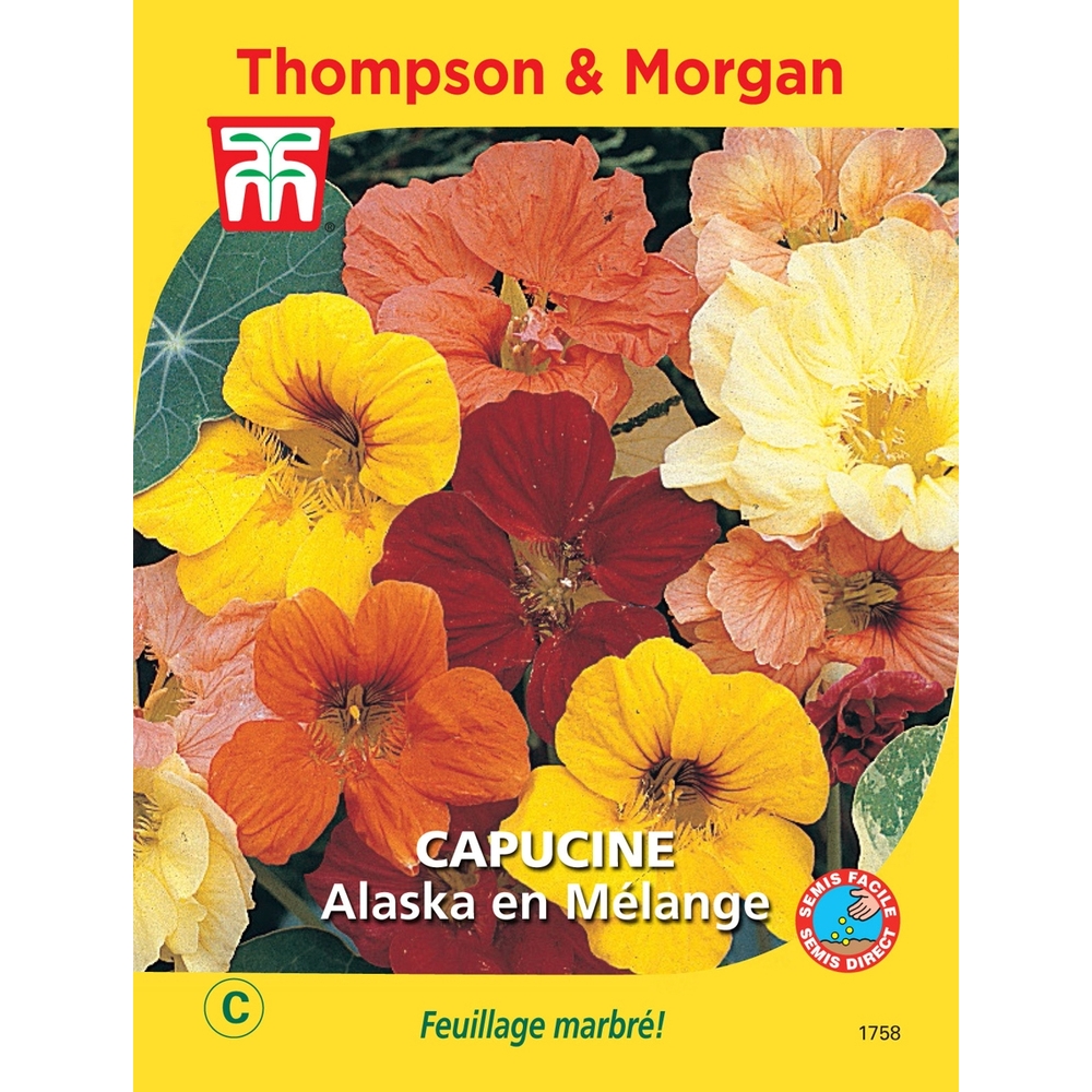 Capucine Alaska Mél.