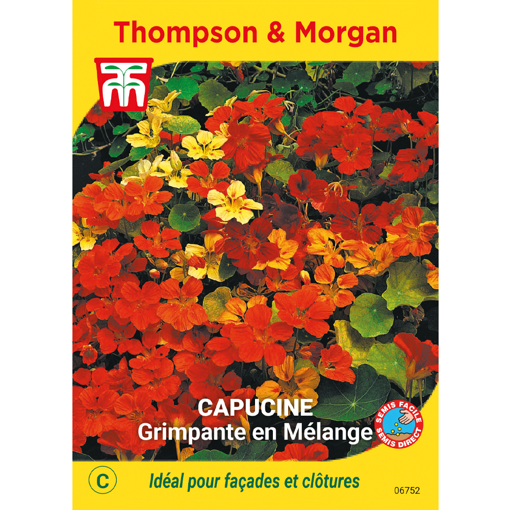 Capucine Grimpante en Mél.