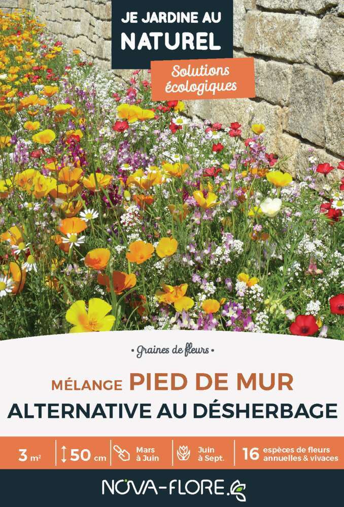 MÃ©lange fleuri 