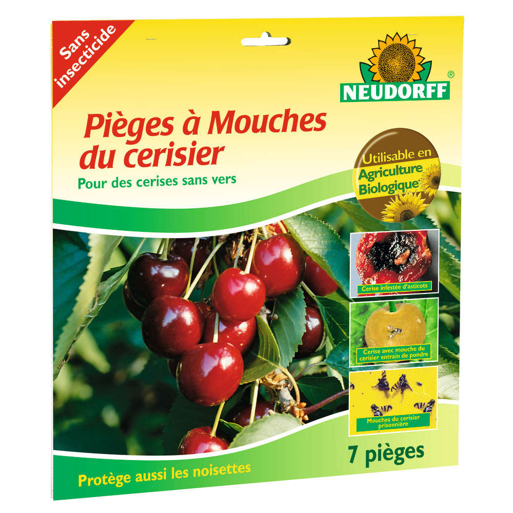 Pièges à mouches de la cerise. 7 pièges