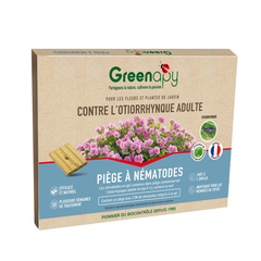 Piège otiorrhynque adulte