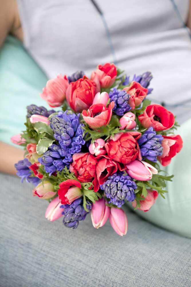 Botte de Jacinthes - 5 tiges : coloris variables