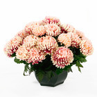 Coupe de chrysanthèmes artificiels, 28 fleurs - Rose