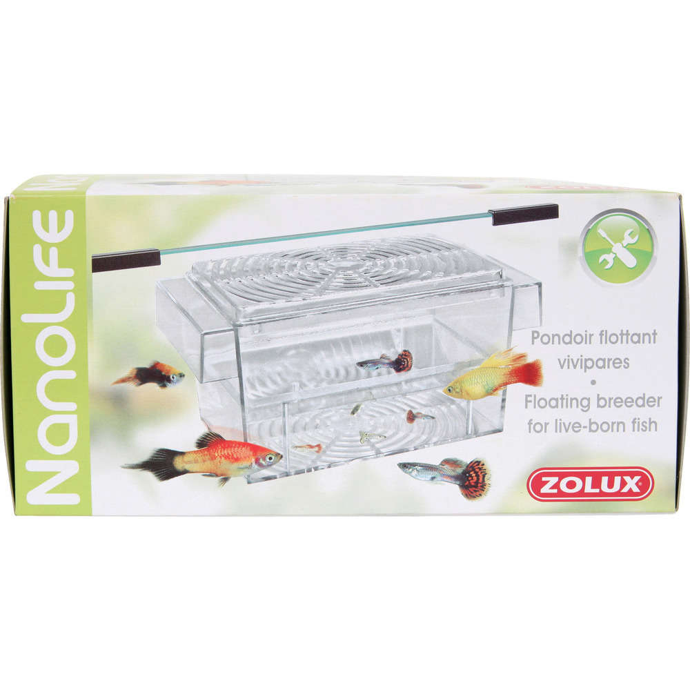 Pondoir flottant pour aquarium : spécial guppy