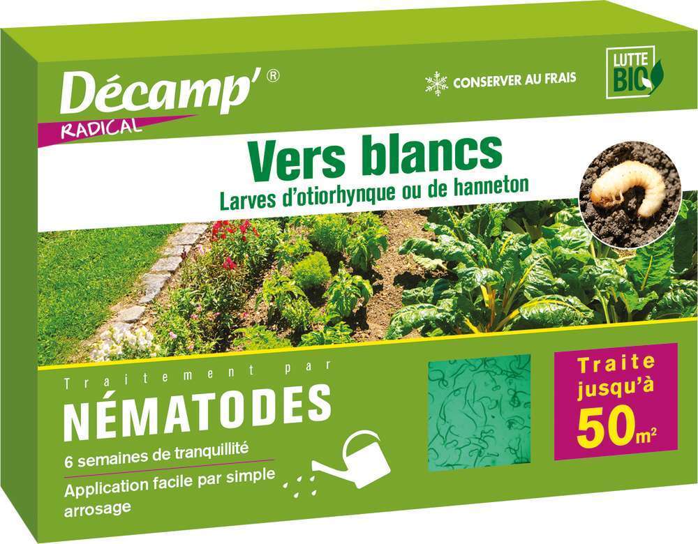 Nématodes contre les vers blancs (25 millions de nématodes pour 50 m²)