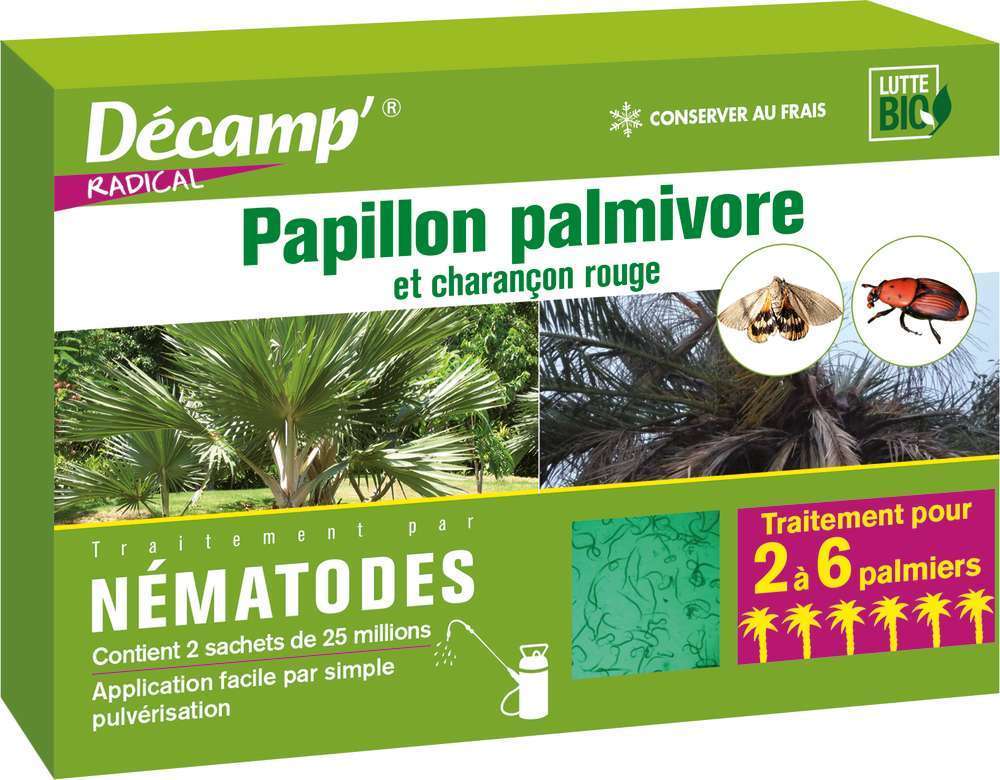 Nématodes contre le papillon palmivore ou le charançon rouge