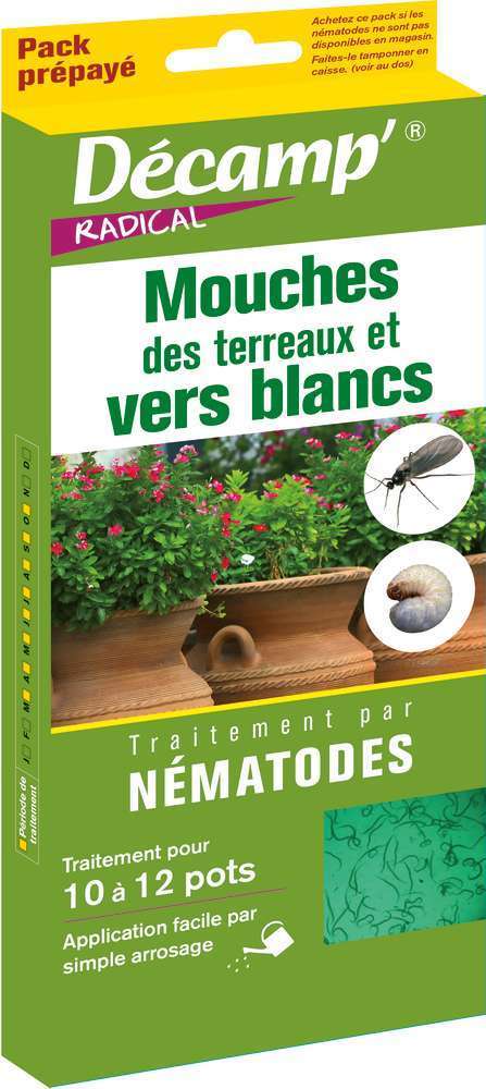 NÃ©matodes contre vers blancs,mouches terreaux
