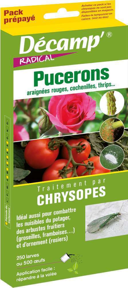 Chrysope contre les pucerons