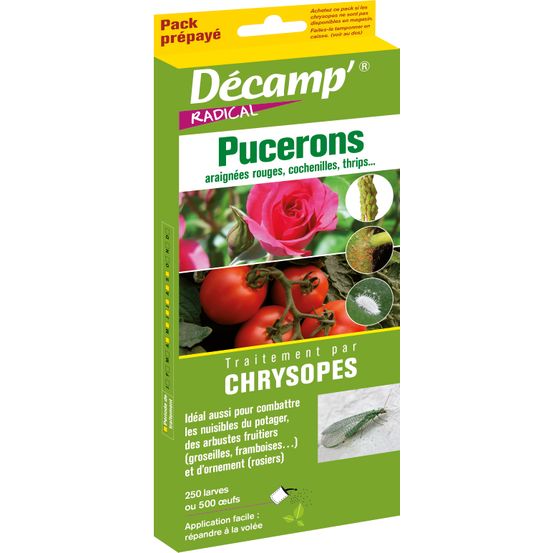 Chrysope contre les pucerons