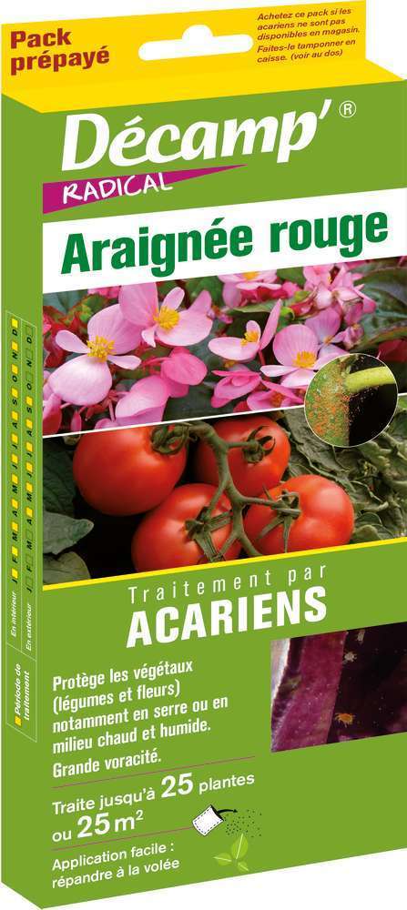 Acarien phytoseiulus contre lâaraignÃ©e rouge