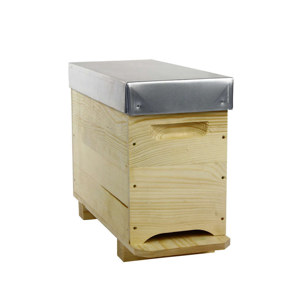 Ruchette dadant 5 cadres