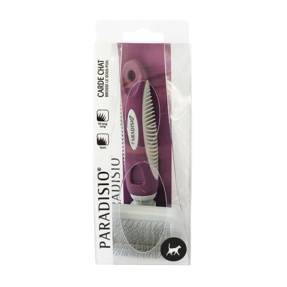 Carde chat Paradisio