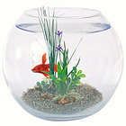 Boule aquarium en verre : équipée, 25 cm de diamètre