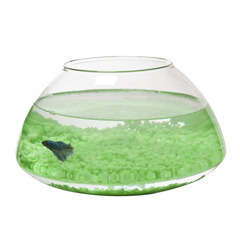 Aquarium Luna poisson d'eau froide, transparent - 3,5 litres