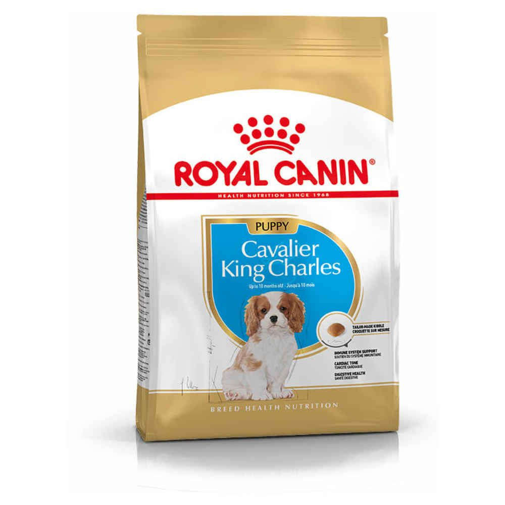 Croquettes chiot BHN Cavalier K. Ch. Junior 1,5kg