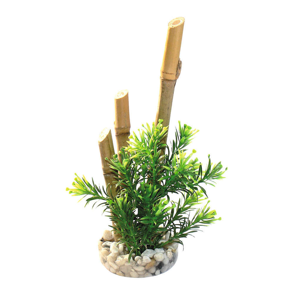 Décoration d'aquarium : Bambou plantes