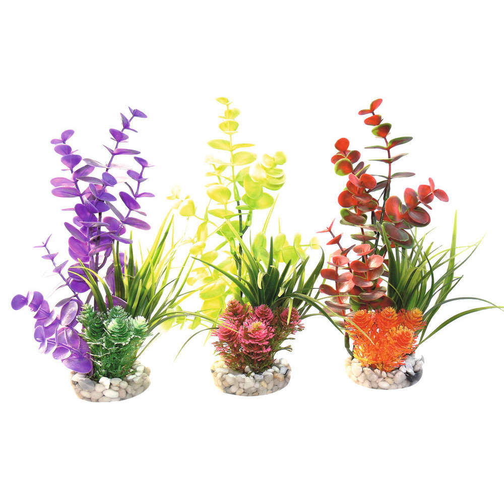 Décoration d'aquarium : Composition eucalyptus