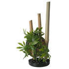Décoration d'aquarium : Bambou plantes sable noir