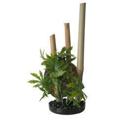 Décoration d'aquarium : Bambou plantes sable noir