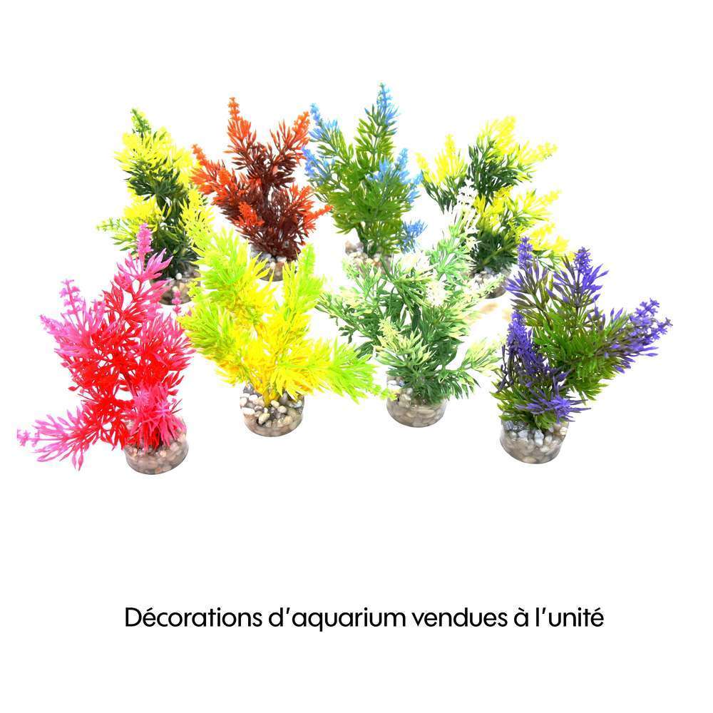 Décoration d'aquarium : Nano Fiesta
