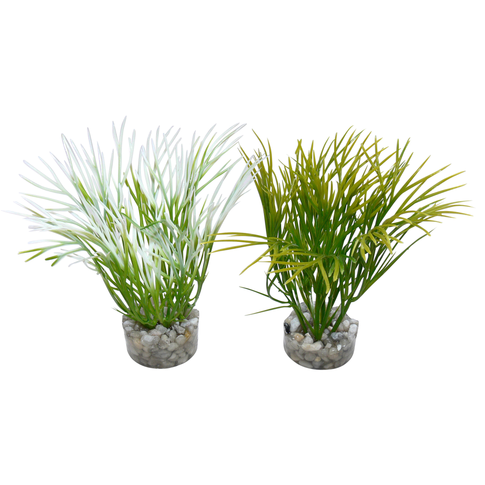 Décoration d'aquarium : Nano Green Plant