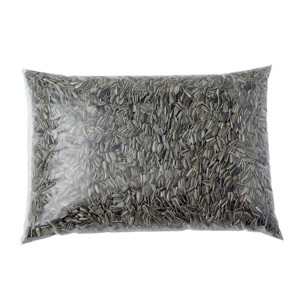 Graines de tournesol pour oiseaux du jardin - 4 kg