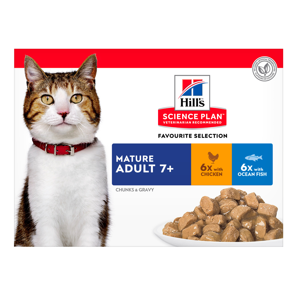 Multipack sachets chat matuteÂ : 12 X 85g