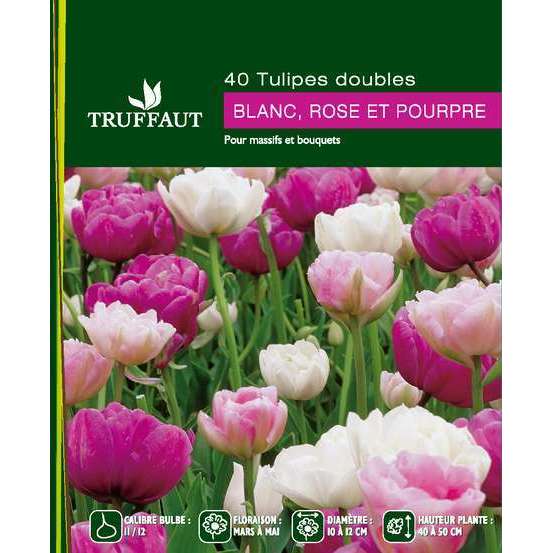 Bulbes de tulipes doubles blancs, rose et pourpres - x40 Truffaut | Truffaut