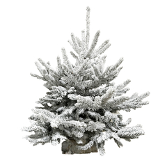 Sapin de Noël diamant Robin® : 90/100cm buché