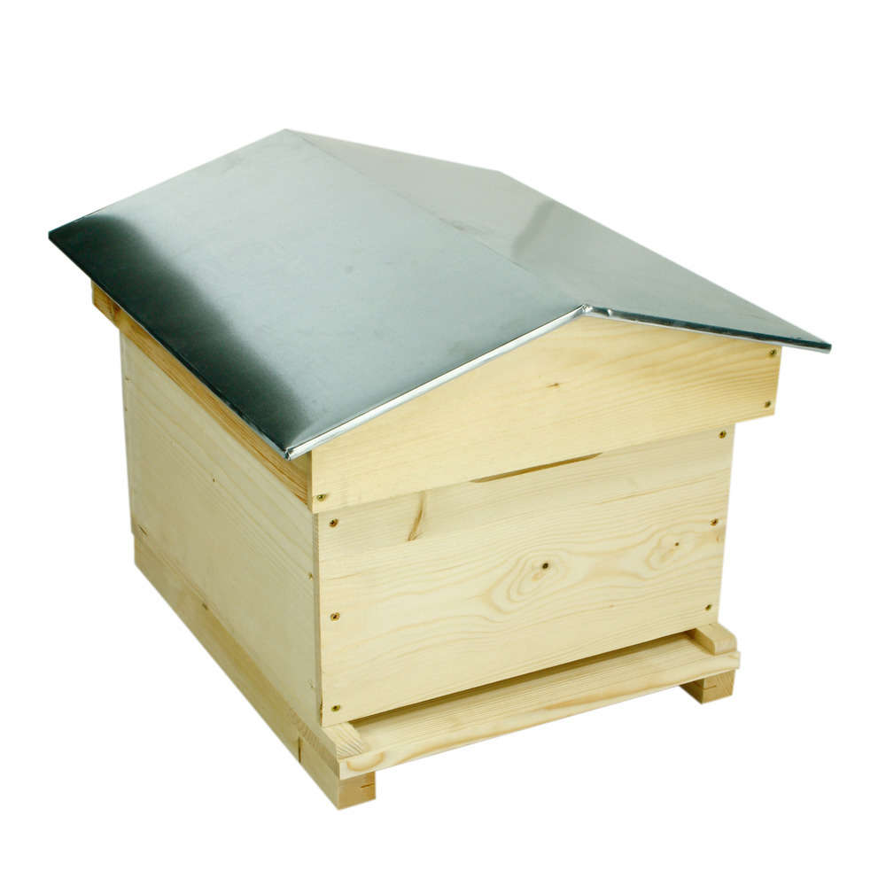 Apiculture : l'organisation des abeilles dans la ruche - Truffaut