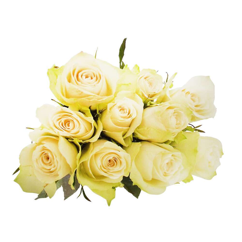 Botte de Roses 'Athéna' - 10 tiges :  blanches
