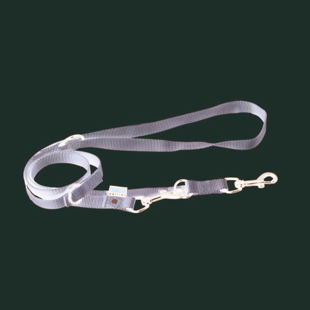 Laisse dressage 3 positions nylon uni largeur 2cm et long 200cm beige