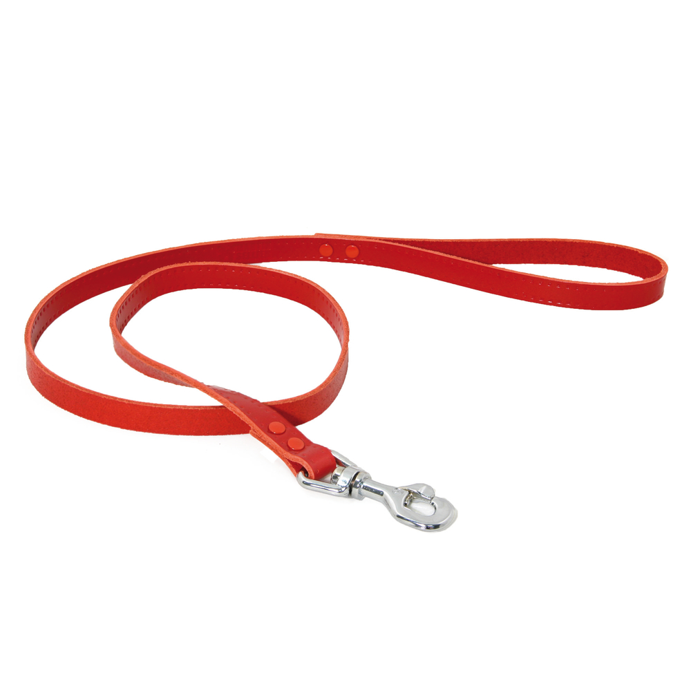 Laisse rivet largeur 1,4cm et longueur 100cm rouge