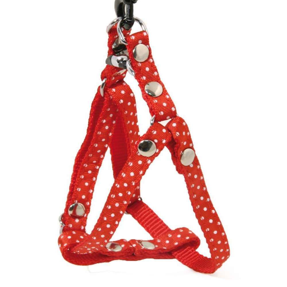 Harnais galon motif pois sur sangle nylon : Tour de cou 17-27 cm rouge