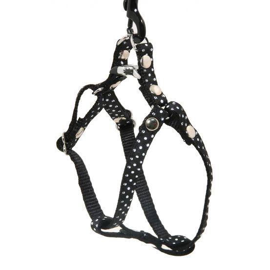 Harnais galon motif pois sur sangle nylon : Tour de cou 17-27 cm noir